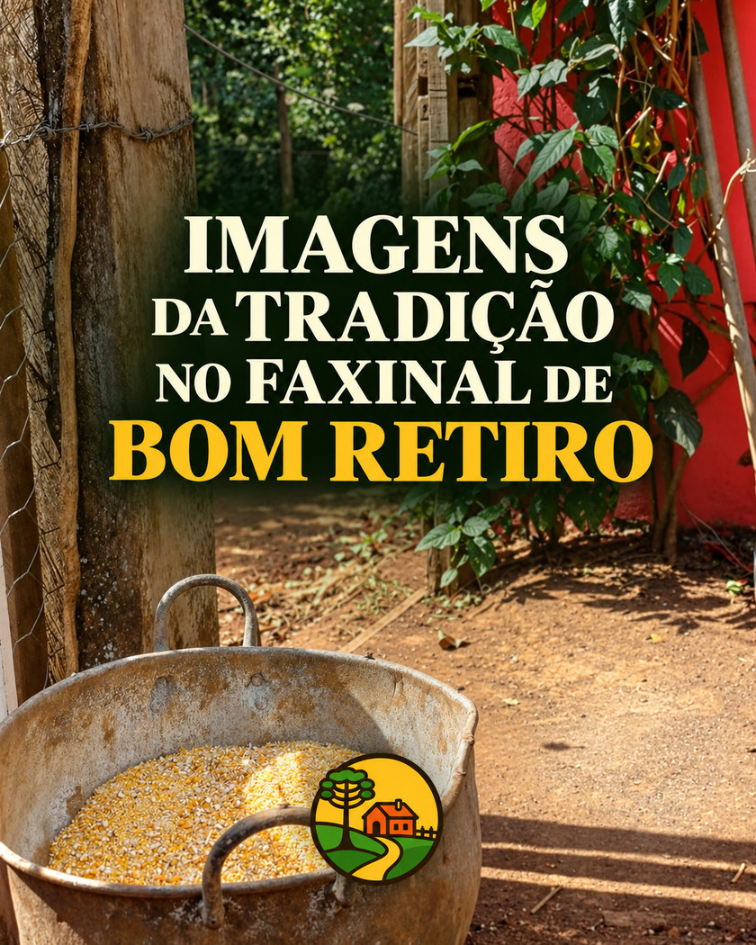 Peça de divulgação de Imagens da Tradição: Bom Retiro.