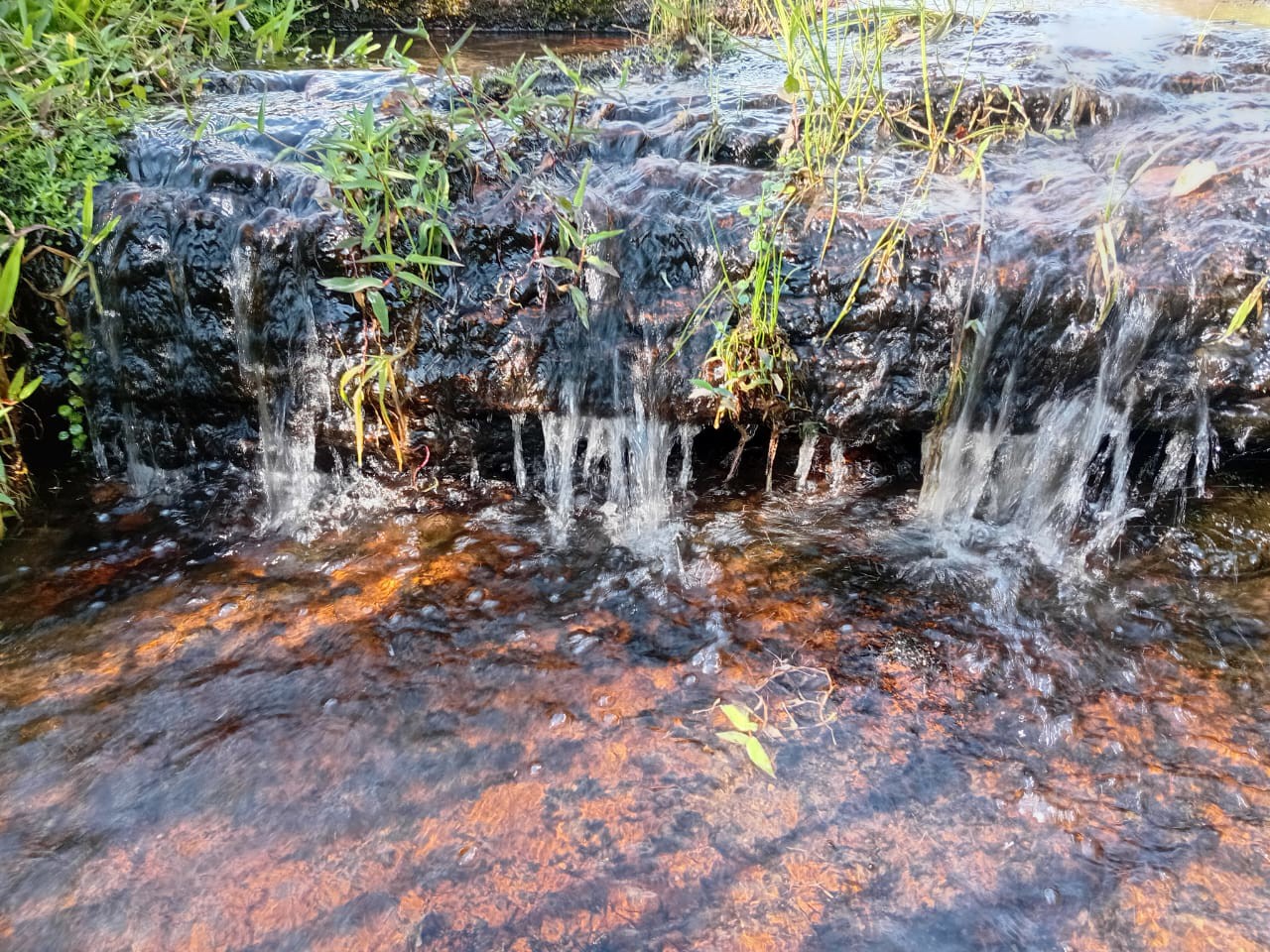 Pequenas quedas de água entre pedras escuras e vegetação, com reflexos claros e alaranjados na água.